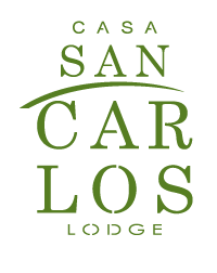 Hotel Casa San Carlos